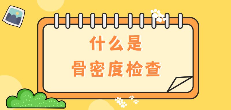 【雙能x線骨密度儀】什么是骨密度檢查？該怎么查？