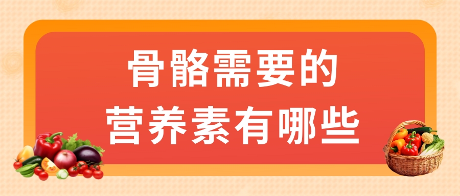 骨骼需要的營(yíng)養(yǎng)素有哪些？